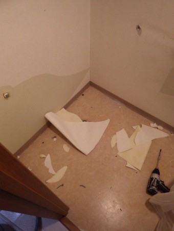 IMGP3853-e1714967435438